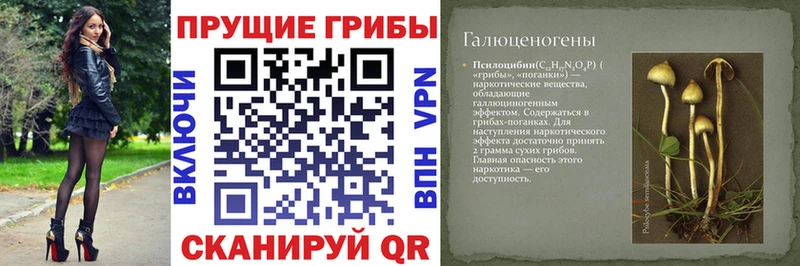 Псилоцибиновые грибы мухоморы  Дедовск 
