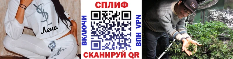 Бошки Шишки SATIVA & INDICA купить наркоту Дедовск